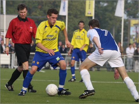 Emiel van der Sanden Blauw Geel38